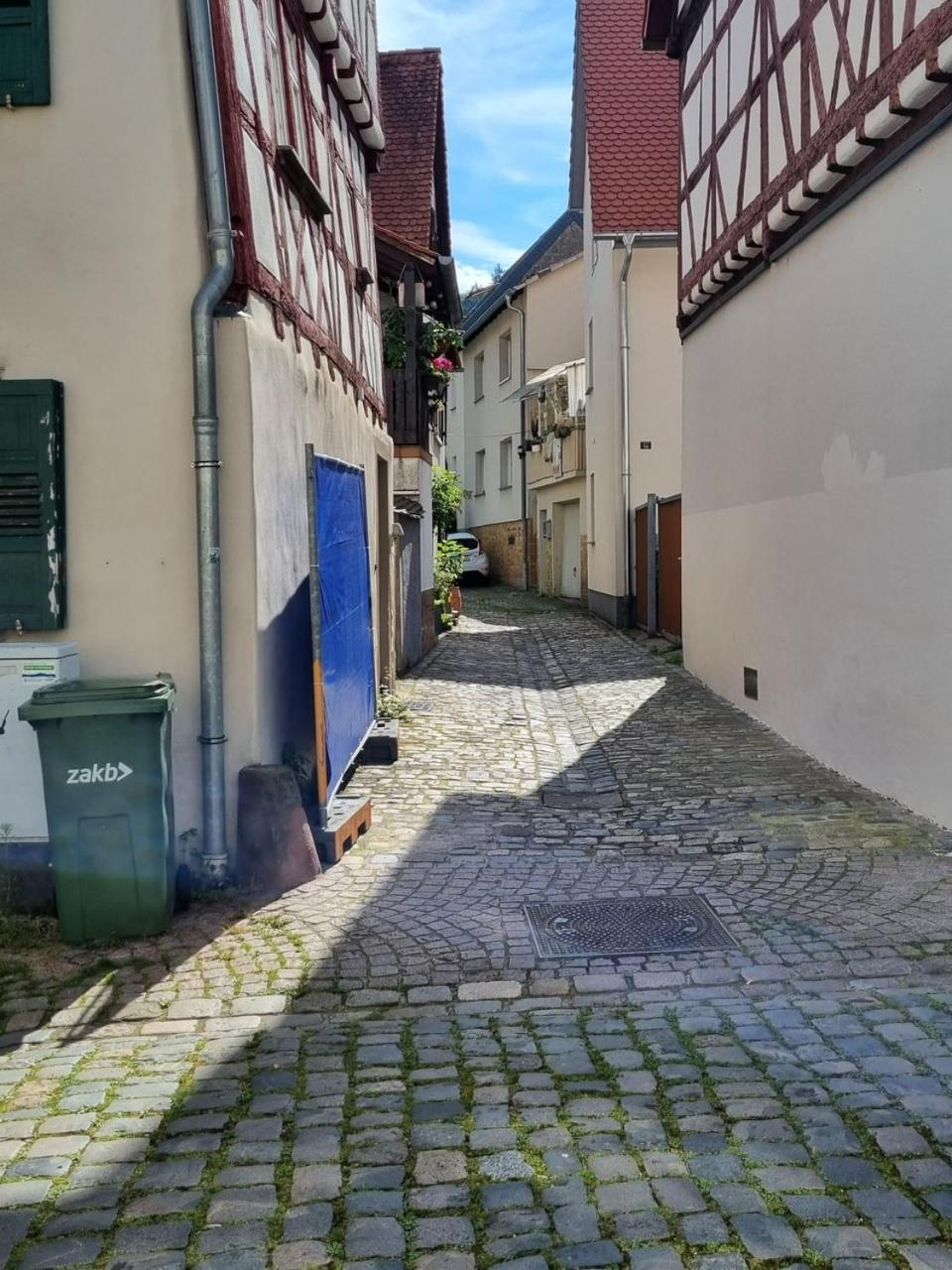 Ferienwohnung Heppenheim An Der Bergstrasse Whg 1 Heppenheim (Bergstrasse) Exterior foto